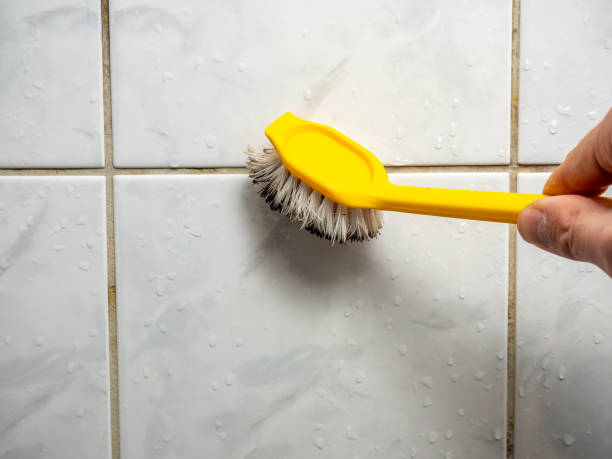 Best Basement Mold Remediation in Occoquan, VA