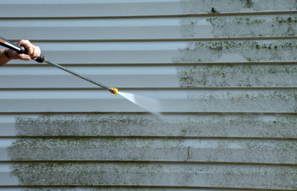 Occoquan, VA Mold Remediation Company