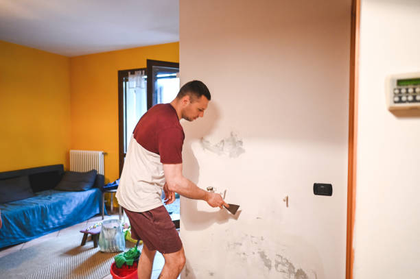 Best Attic Mold Remediation in Occoquan, VA